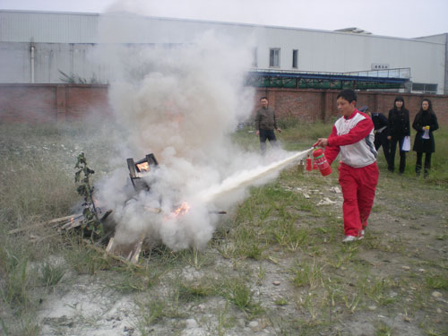 bevictorΰ¹ - Τ¹ٷվ