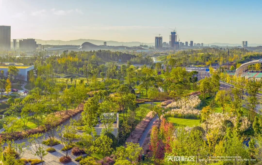 120950041278.jpg 3.jpg