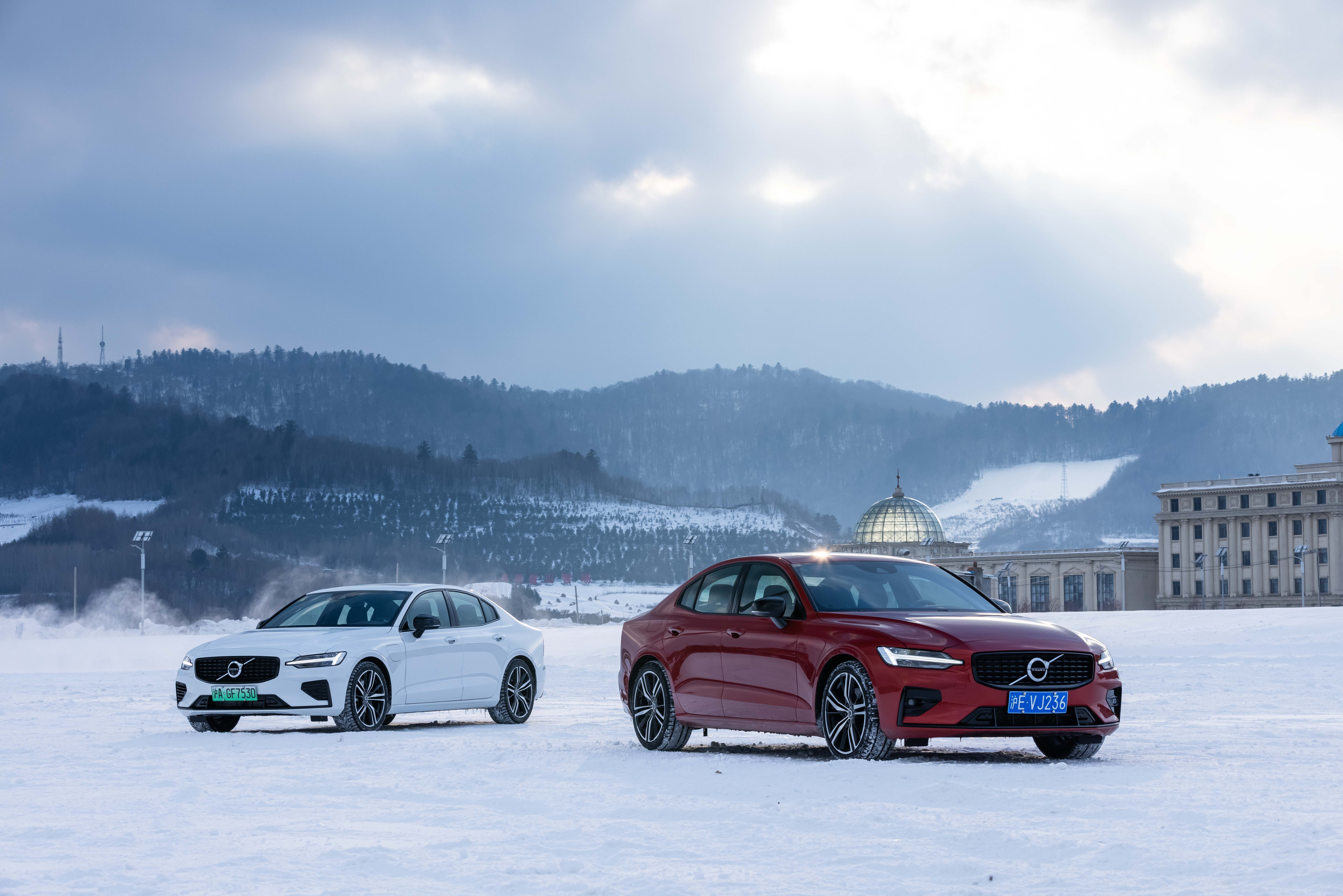 131826472298.jpg 0U4A8318.jpg